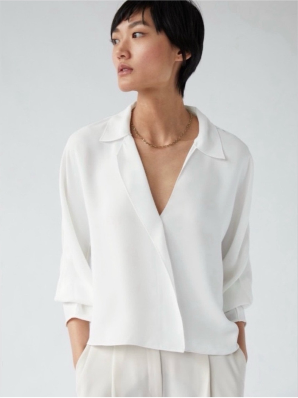 Aritzia Martin Blouse